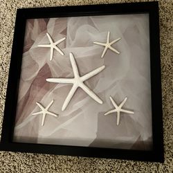 Starfish Photo