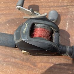 Shakespeare Fishing Reel