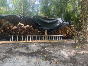 campfire wood