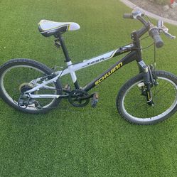 Schwinn clearance mesa 20