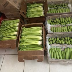 Organic Celery 