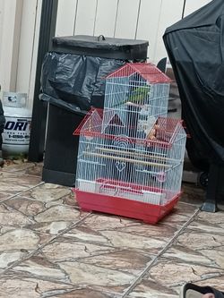 Bird Cage