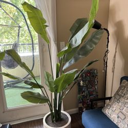 Faux Banana Tree 6.5ft