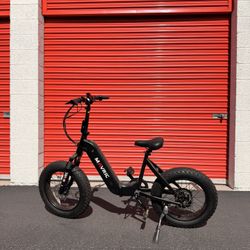 Electric Bike