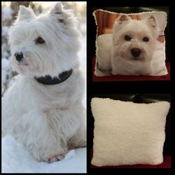Costum Animal pillows