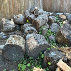 Free Log For Firewood