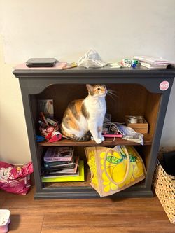 Shelf for sale