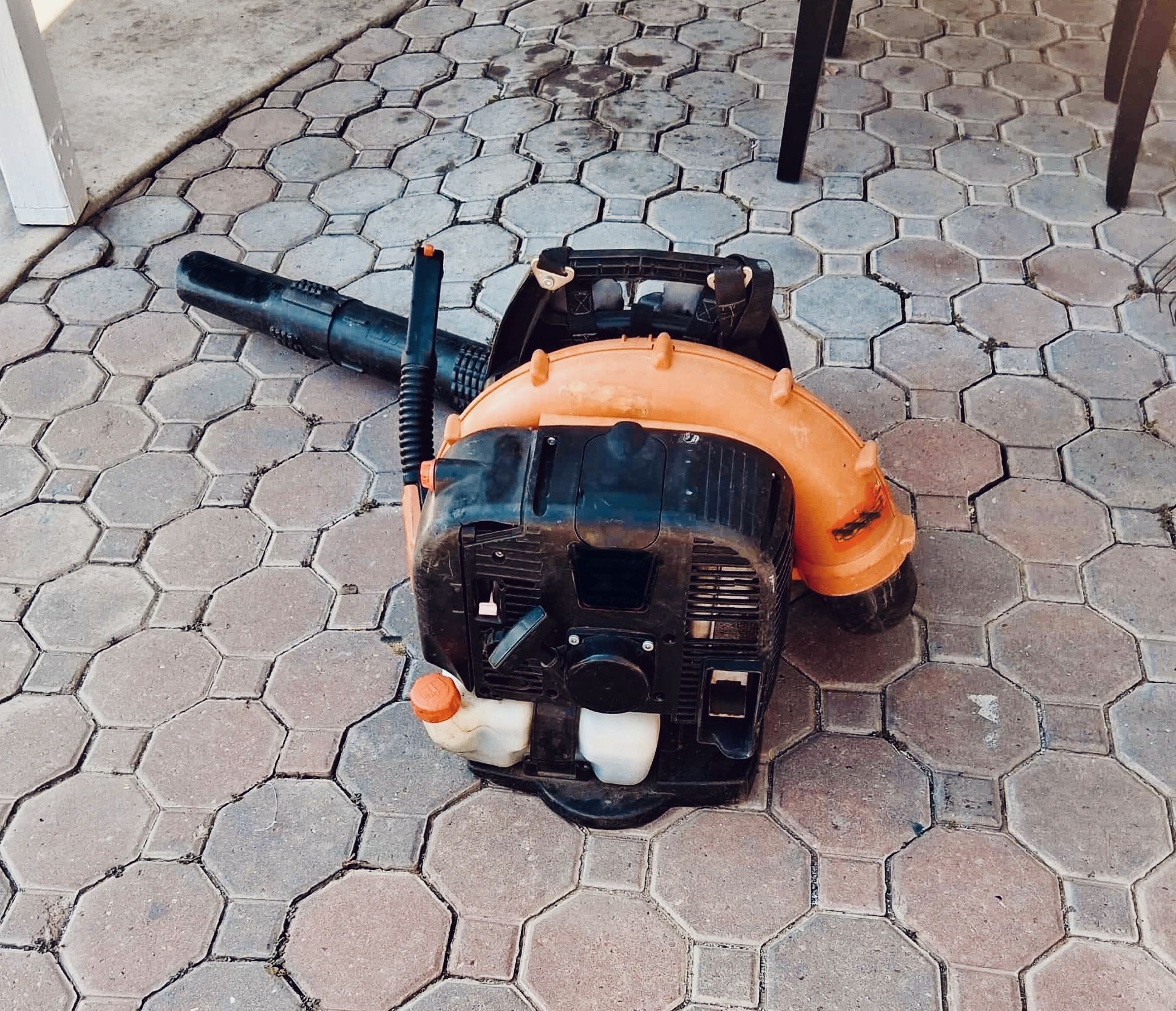 Echo Backpack Blower
