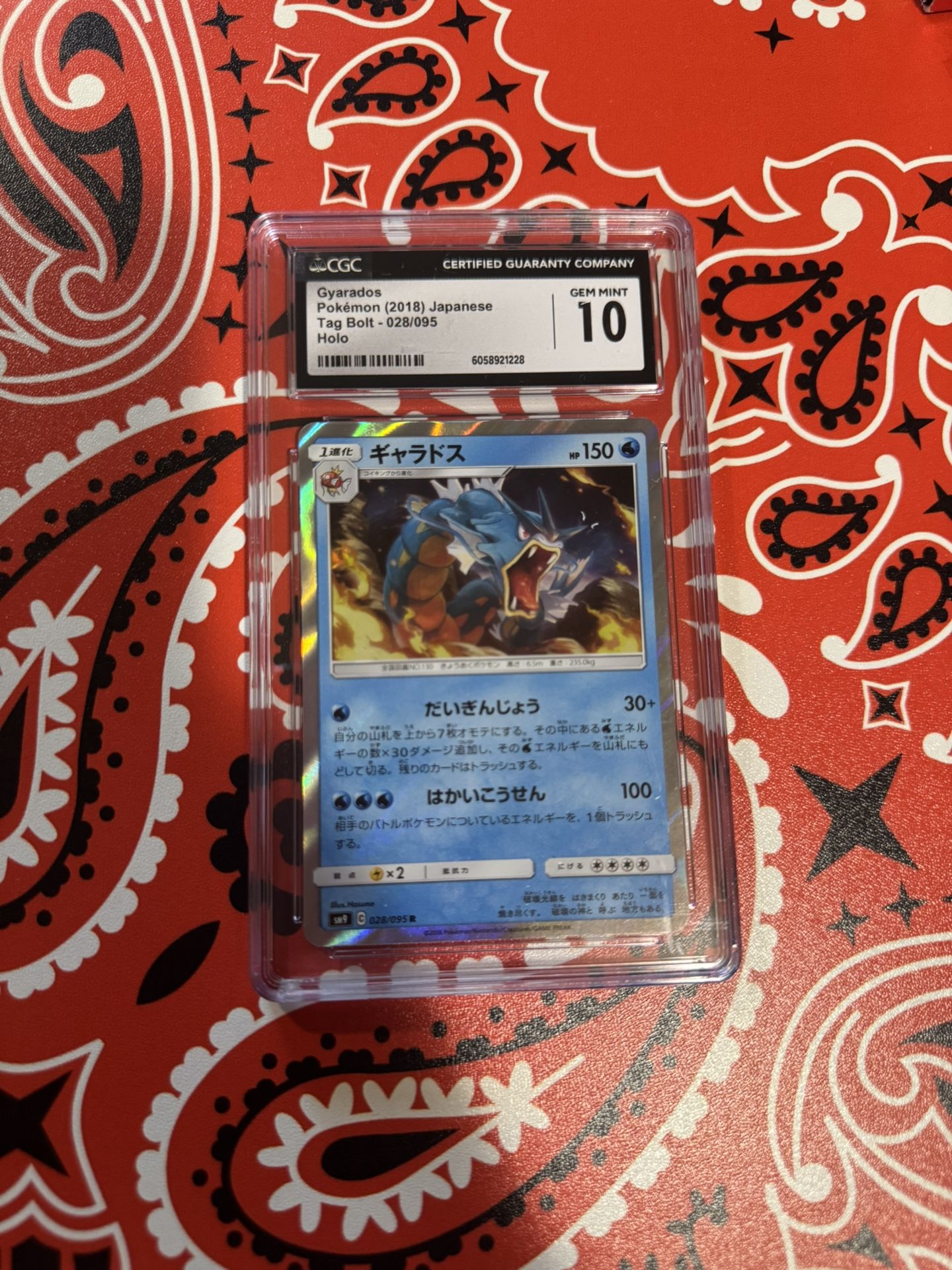 Pokemon Gyarados #028/095 CGC 10