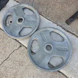 2-45lb Olympic Weight Plate Set