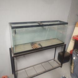 60 Gallon Fish Tank With Metal Stand