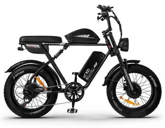 Bluvall 20 inch fat tire electric bicycle dual battery dual motor