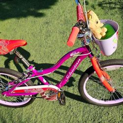 Schwinn 20” Elm Girls Bike RED/PURPLE
Pre-Loved