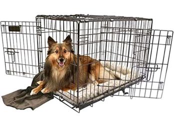 Precision® Pet Products 2-Door Great Crate, 30" x 19" x 22" - Black