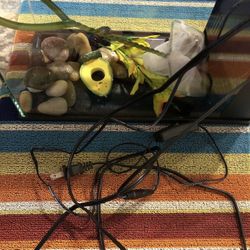 Used Fish • Tank For Berta Or Other Small Size Fish Comes With Led Lights And Everything That Is In The Photo, Pecera Para Pescado Chicos