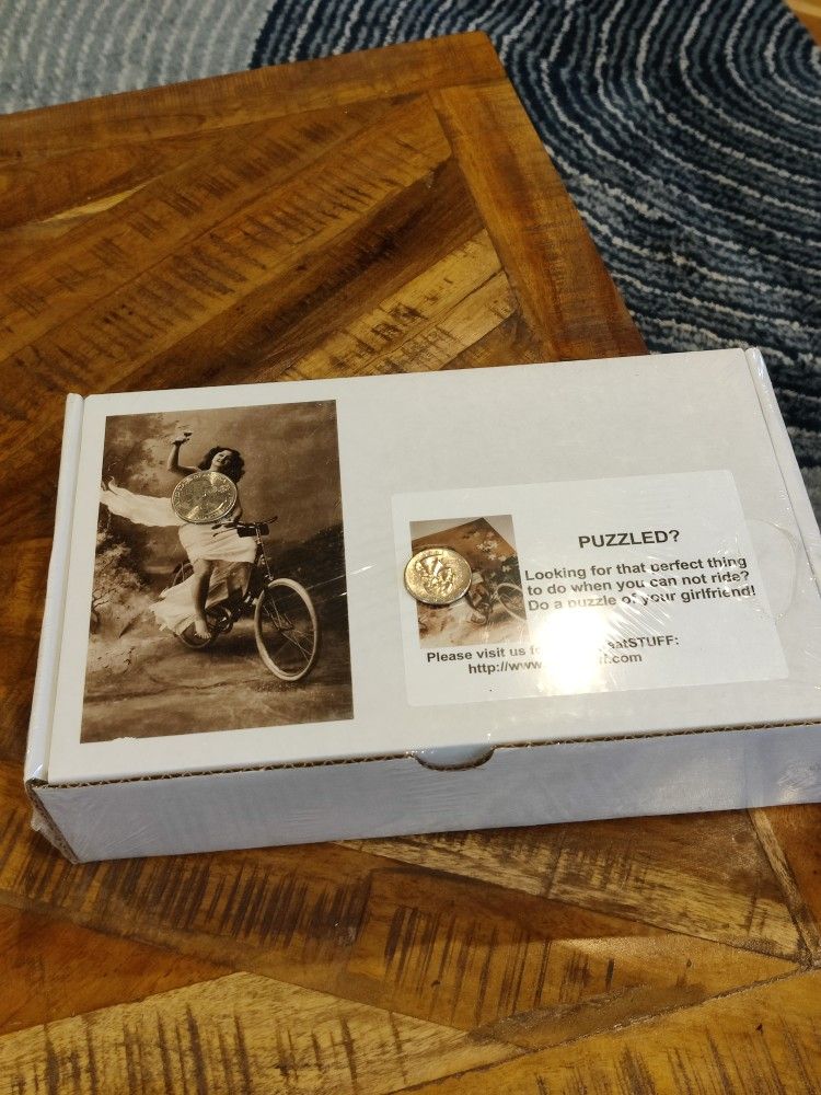 Vintage Biking Puzzle Checking