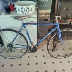 Panasonic Road Bike