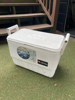 🧊 Igloo Marine 25 Qt Cooler – Fishing Camping Ice Chest – $40 OBO