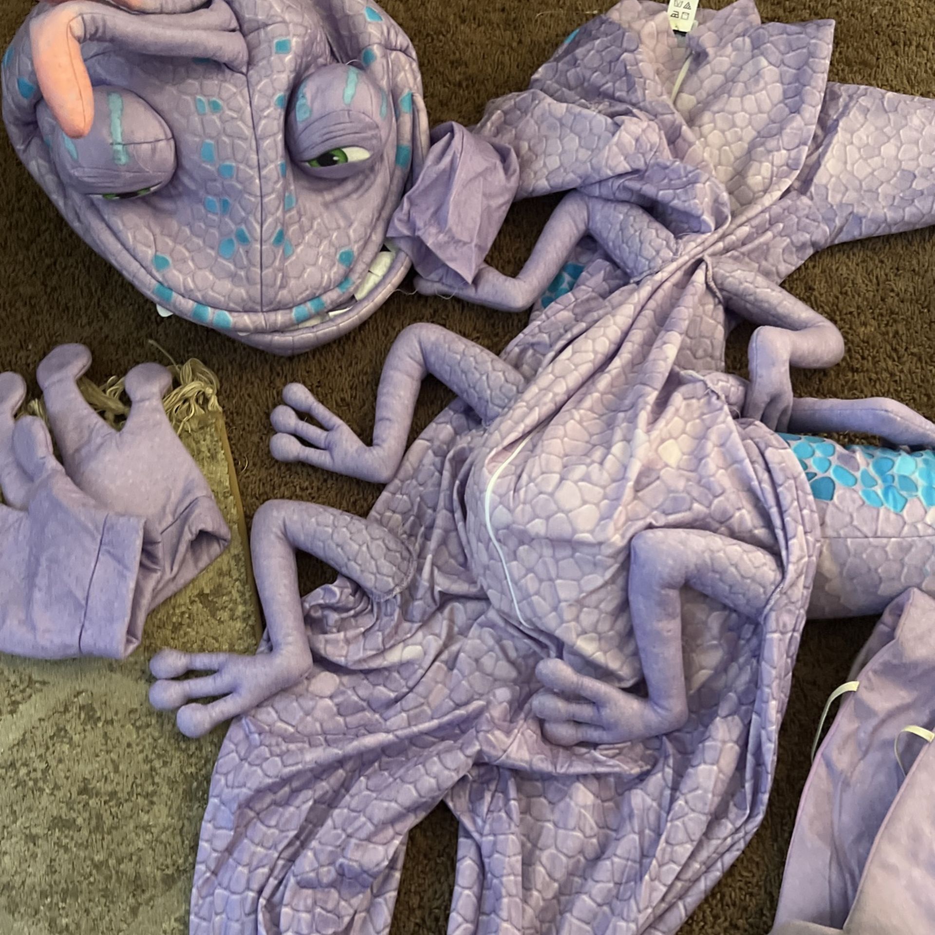 Randall Monsters Inc Costume