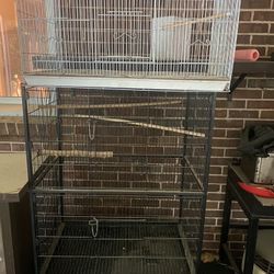 Bird Cages 