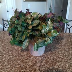 Decorative, Artificial, Plant, Plants 