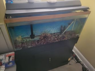 Fish Aquarium