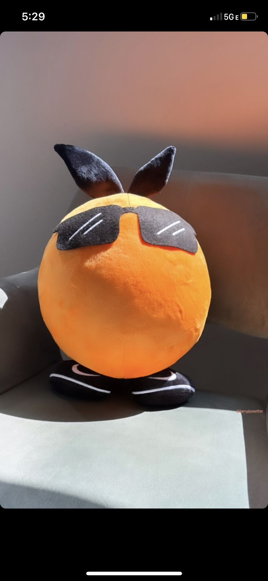 Larry June plush & Rug