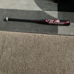 Louisville Slugger Bat