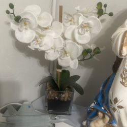 2 Artificial Orchid Plant 