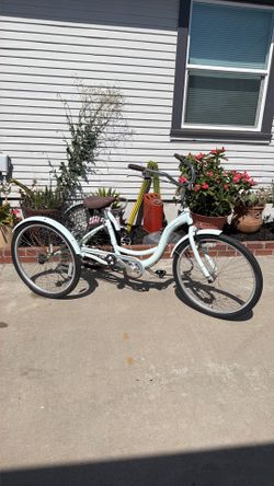Schwinn tree wheel