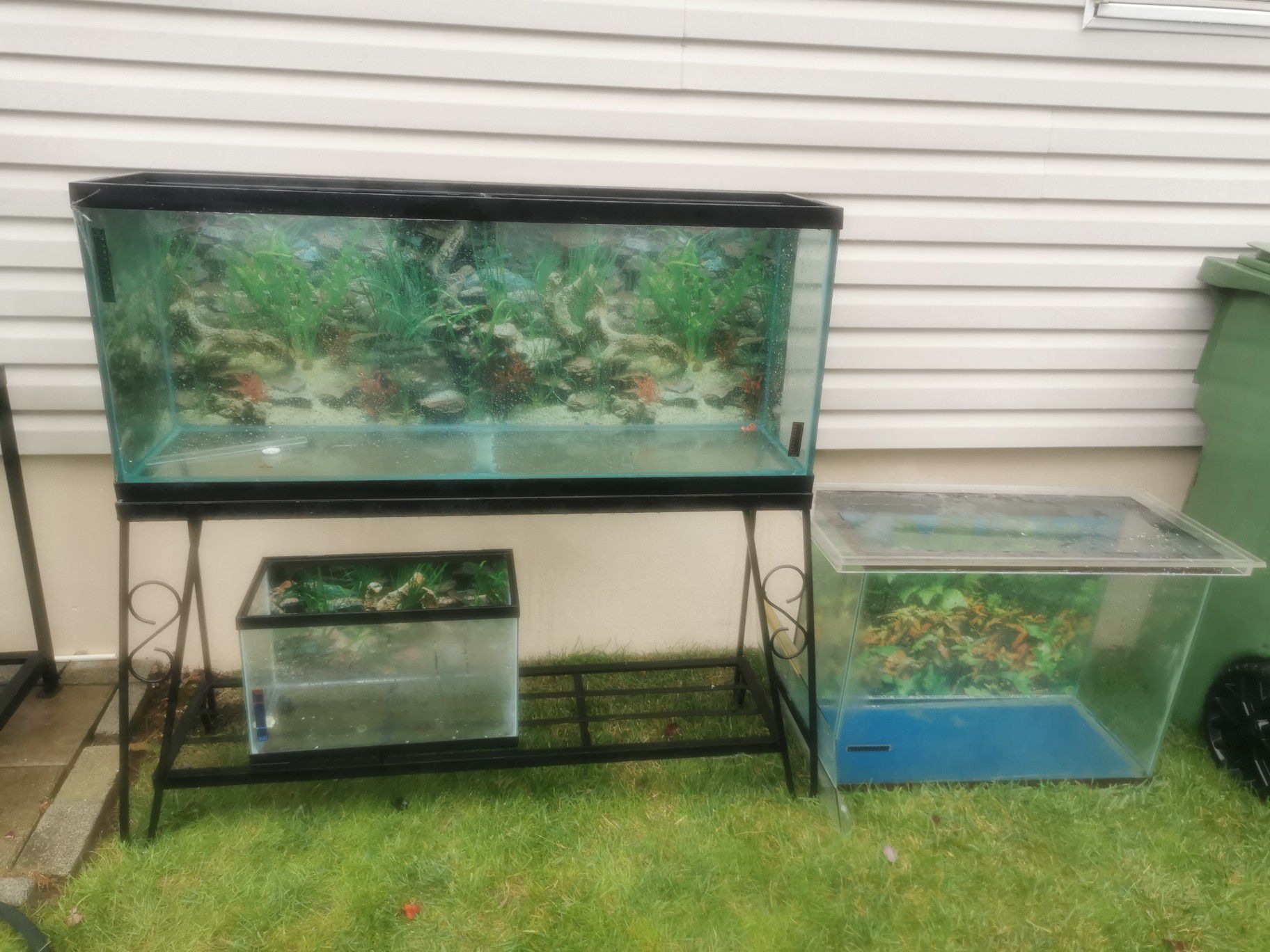 Last 2 day Fish tanks moveing sale
