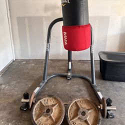 New Bag And Stand Curl Bar And 45s Weights