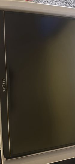 Portable monitor