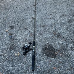 Fishing pole and Reel 