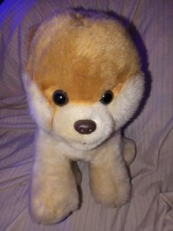 Gund Boo The Cutest Pomeranian Pup Stuffed Toy