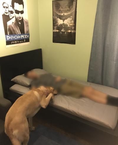 Twin bed, frame and mattress