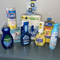 Household Cleaning Bundle
