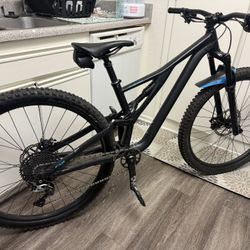 2019 Specialized Stumpjumper ( Medium)