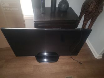49" Lg