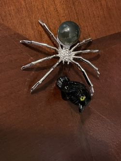 Spider And Raven
