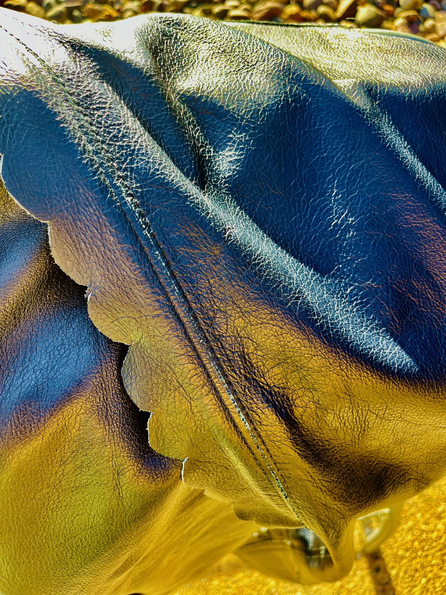 Blue Leather Chaps
