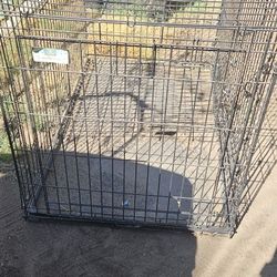 Dog Kennel