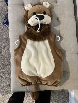Lion Costume