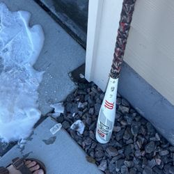 cat 8 drop 8 30in baseball bat 