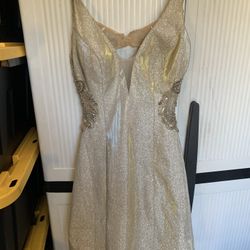 Beige Short Dressy Dress