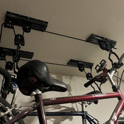 Bike Hooks 