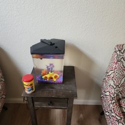 Fish Tank With Free Food 