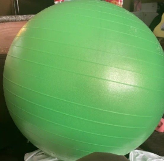 Golds Gym Exercise Ball