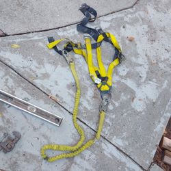 Harness