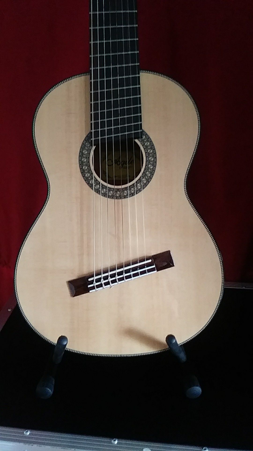 Agile Renaissance Classical 8 String Electric Acoustic Guitar #82527 EQ NA with hardshell case